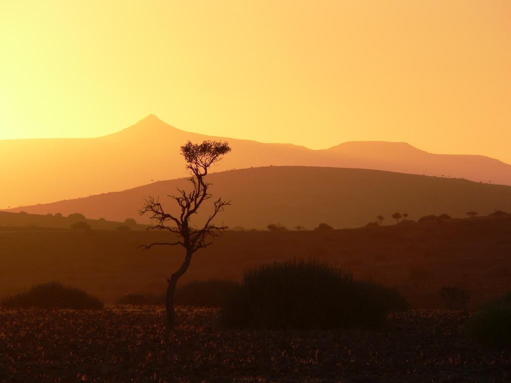 Etendeka Mountain Camp Damaraland Exteriör bild